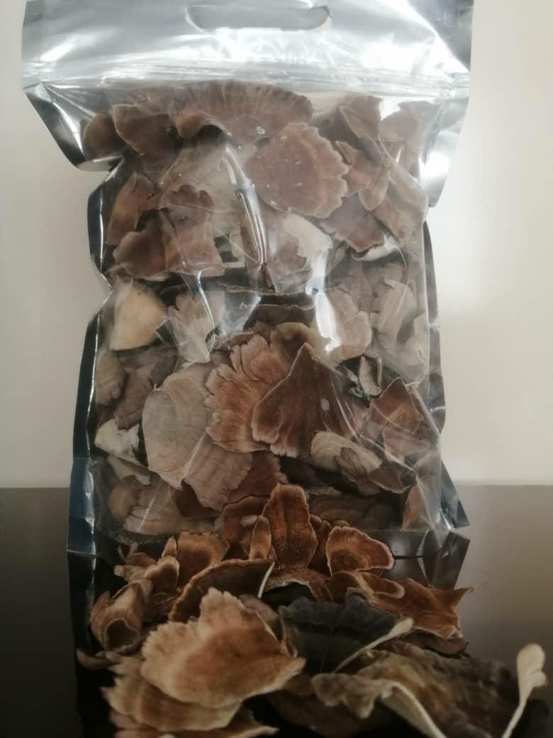قارچ خالص دم بوقلمون (ترکی تیل)|خوردنی و آشامیدنی|مشهد, جنت|دیوار