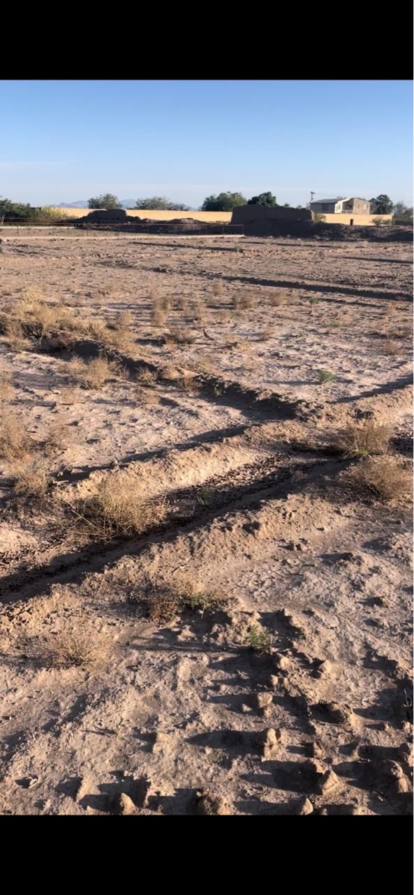 زمین 2هکتار اتوبان سیرجان زید ابادبعد از منطقه ویژ|فروش زمین و ملک کلنگی|سیرجان, |دیوار