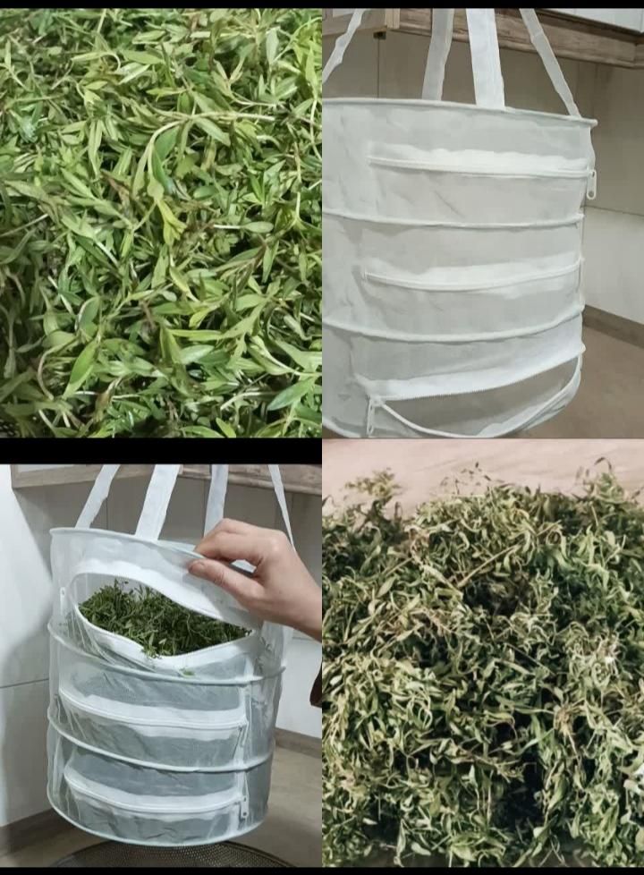 توری سبزی/میوه خشک کن|ظروف نگهدارنده، پلاستیکی، یک‌بارمصرف|الیگودرز, |دیوار