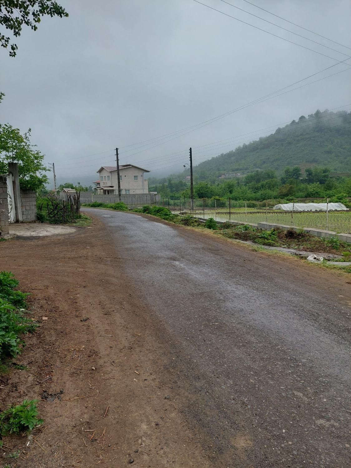 فروش زمین مسکونی سند دار در لیسار|فروش زمین و ملک کلنگی|تالش, هشتپر|دیوار