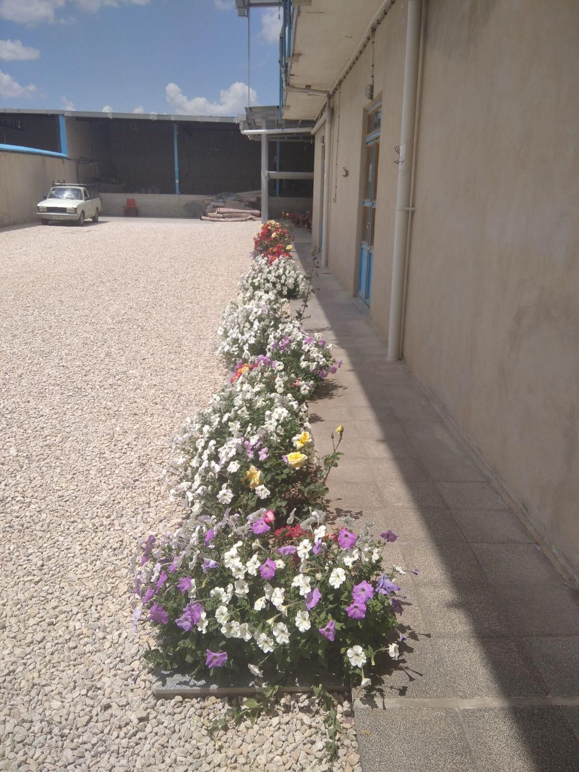 قالیشویی منظم|خدمات نظافت|همدان, |دیوار