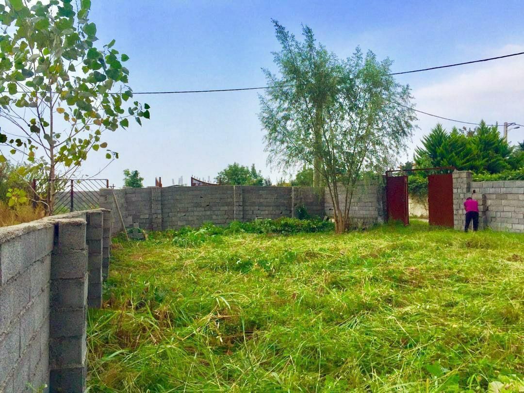 زمین ۳۰۰متری سندتکبرگ/ دور دیوار *۵۵۰م کل فو'ری|فروش زمین و ملک کلنگی|چمستان, |دیوار