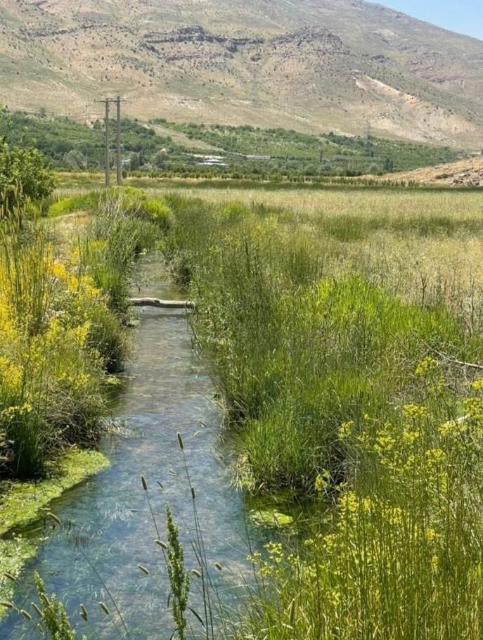 زمین ویلا باغی لوکس وتوپ برای شیرازیاوجنوبیای عزیز|فروش دفتر صنعتی، کشاورزی، تجاری|شیراز, ابیوردی|دیوار
