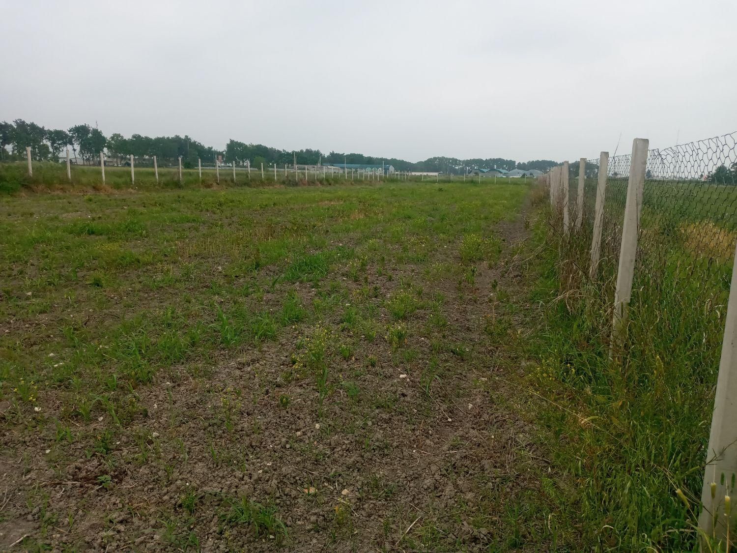 ملک در بهترین مکان نزدیک به گرگان|پیشفروش املاک|گرگان, |دیوار