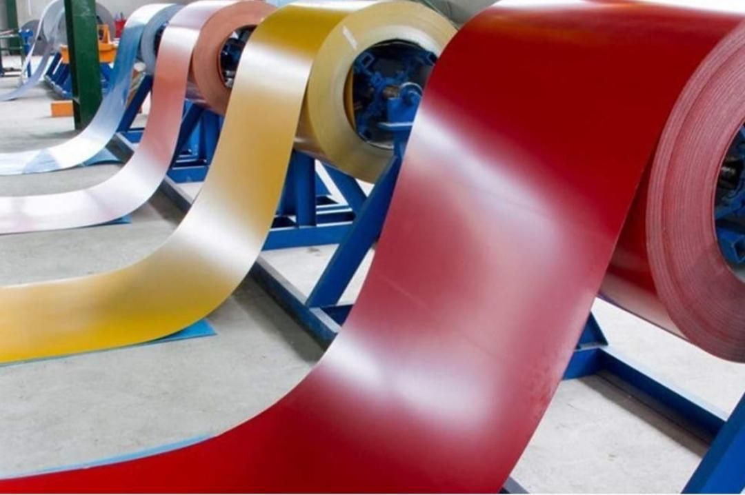 ورق رنگی ،ورق کرکره ،پرچین ،فایبر ،پلی کربنات|عمده‌فروشی|مشهد, نوید|دیوار