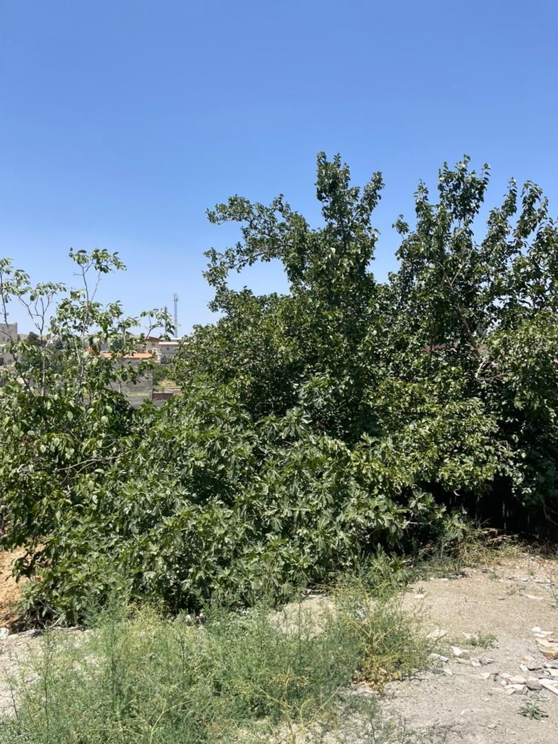 زمین ویلایی ۱۵۰۰ متری دو کله سندتک برگ بدون مشابه|فروش زمین و ملک کلنگی|رودهن, |دیوار