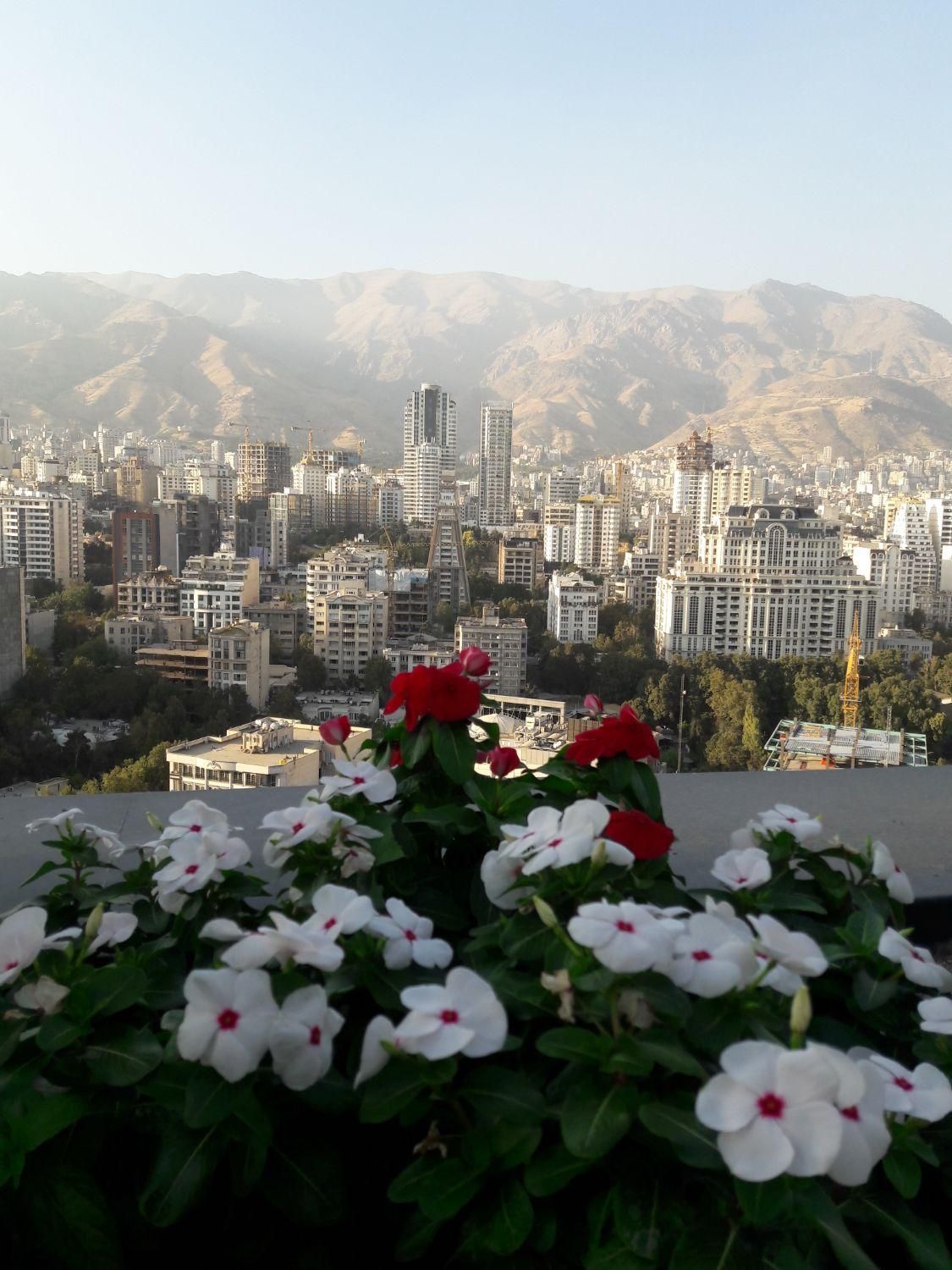 اقدسیه ۳۰۰۰متر مشارکت|مشارکت در ساخت املاک|تهران, اقدسیه|دیوار