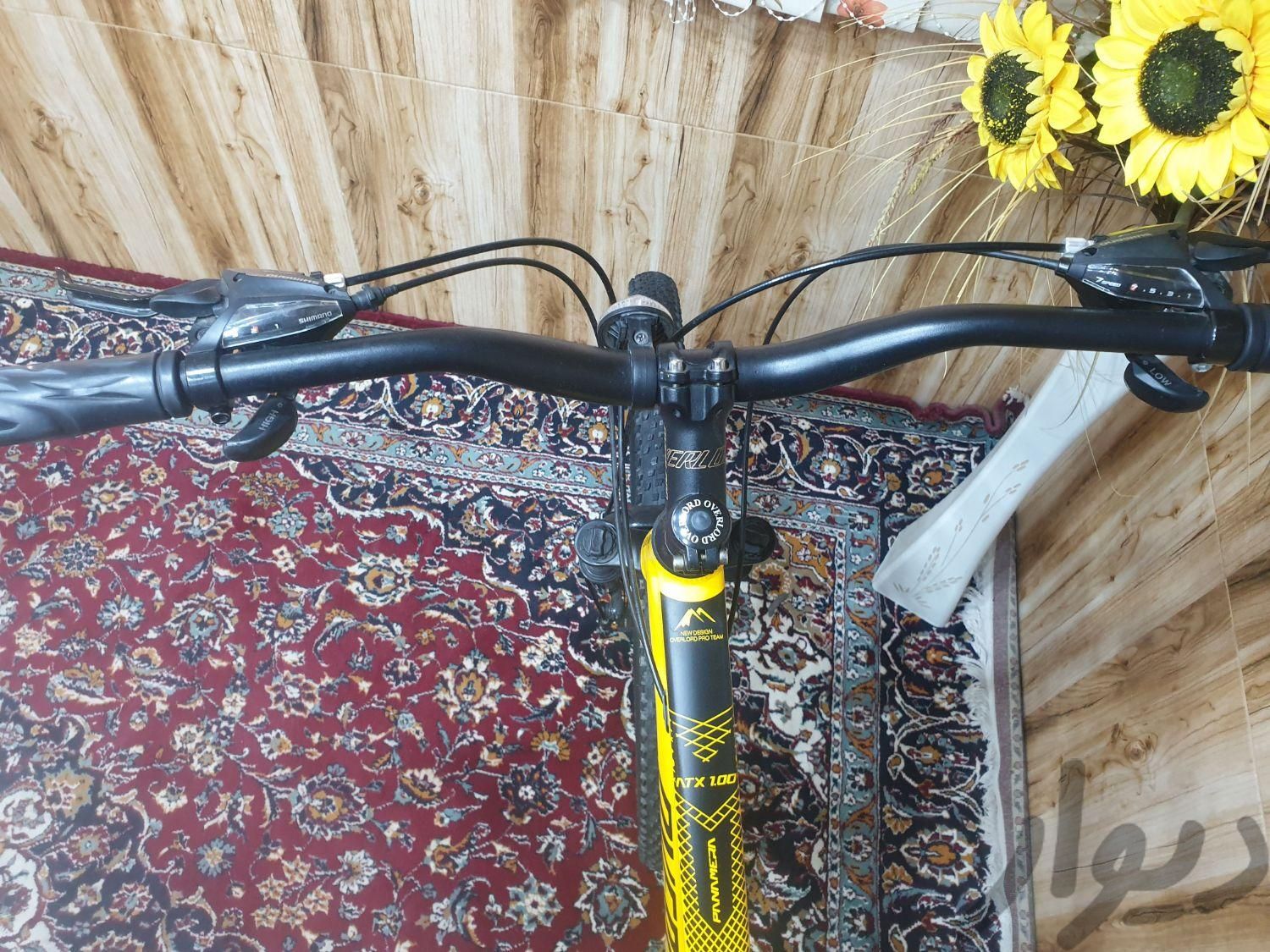 دوچرخه 29|دوچرخه، اسکیت، اسکوتر|تهران, آذری|دیوار