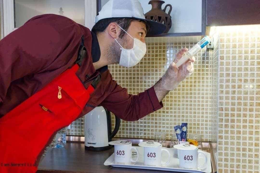 سمپاشی تخصصی صددرصد تضمینی سم پاشی سوسک‌وساس‌ و...|خدمات نظافت|کرج, حصارک|دیوار