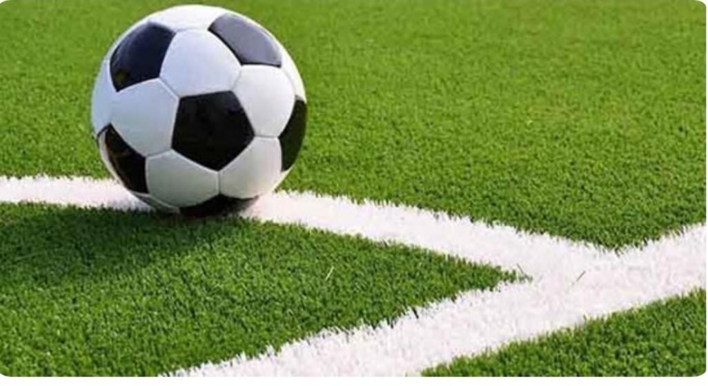 فروش چمن مصنوعی ورزشی|خدمات پیشه و مهارت|گرگان, |دیوار