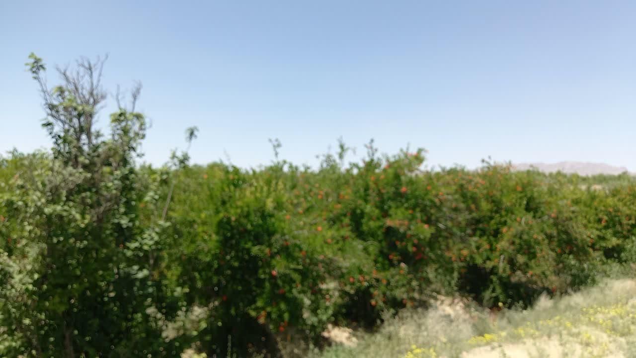 تصویر 5