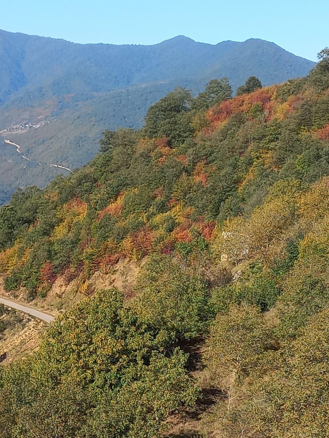 ویلایی با تراس بزرگ وچشم اندازی|اجارهٔ کوتاهمدت ویلا و باغ|علیآباد کتول, |دیوار