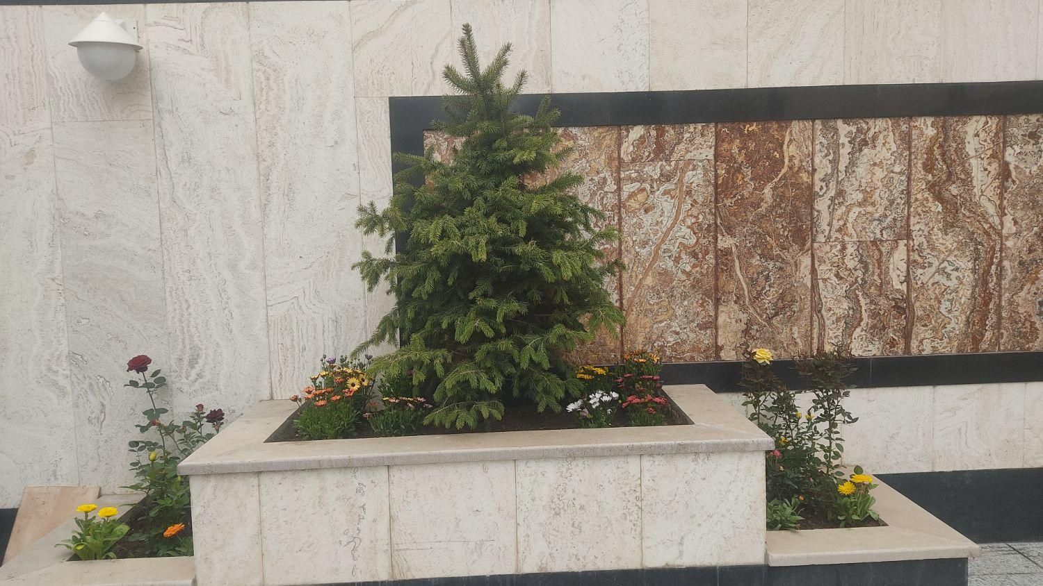 باغبانی سم پاشی سوسک ساس گلکاری هرس تعویض گلدان|خدمات باغبانی و درختکاری|تهران, تجریش|دیوار