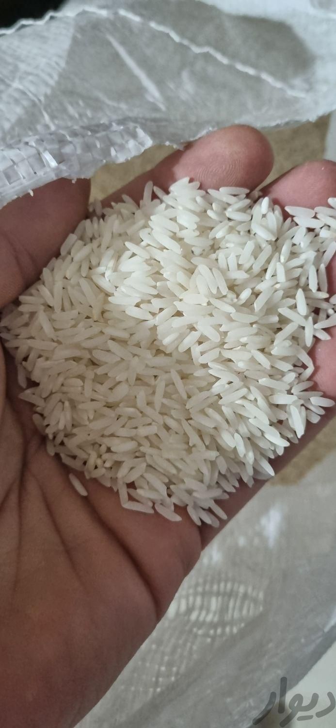 برنج علی کاظمی عطر و طعم برنج|خوردنی و آشامیدنی|تهران, خاک سفید|دیوار