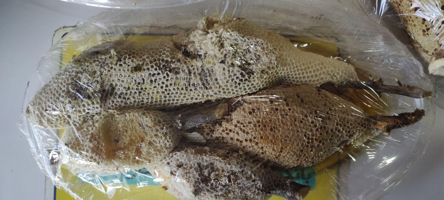 عسل طبیعی|خوردنی و آشامیدنی|بم, |دیوار