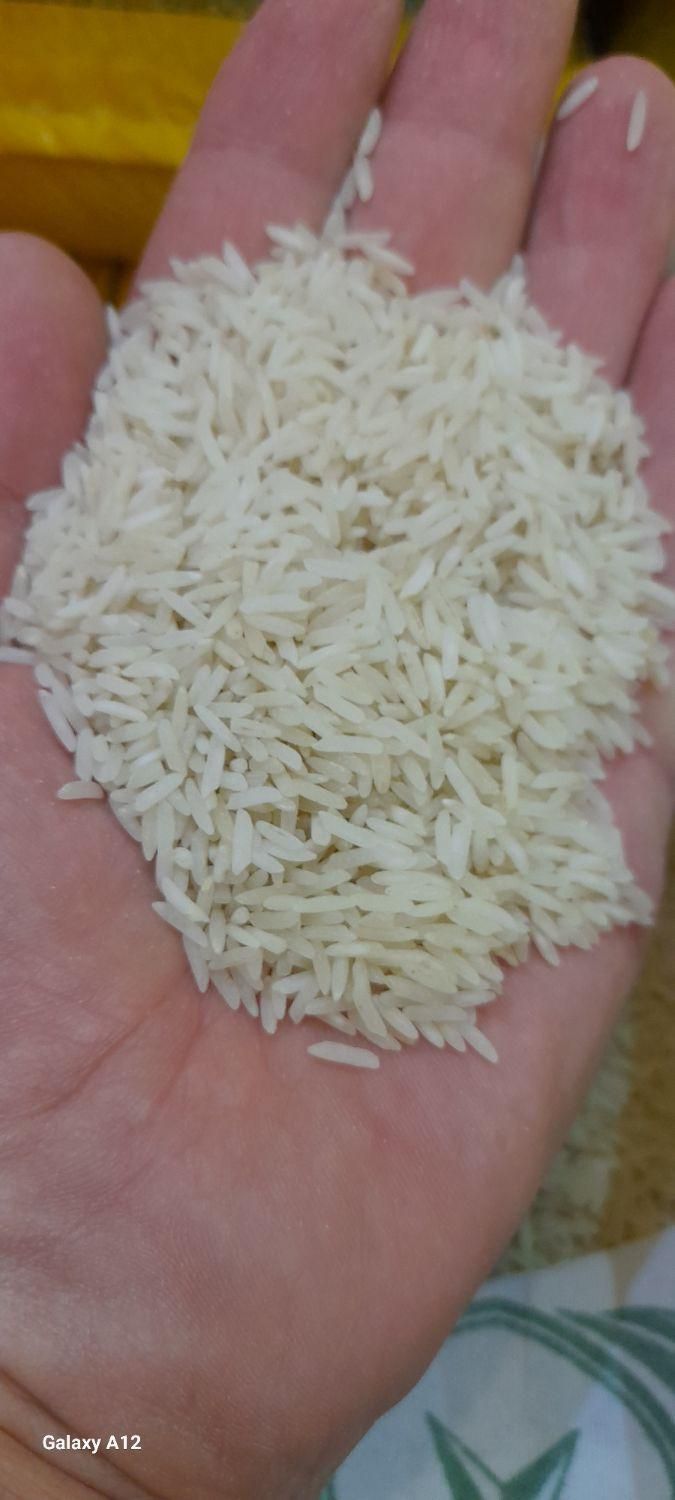 برنج فجر مجلسی شمالی|خوردنی و آشامیدنی|اصفهان, رزمندگان|دیوار