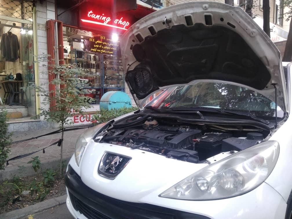 خدمات تخصصی کولر 206 و 207 و خودروهای مالتی پلکس|خدمات موتور و ماشین|لنجان, |دیوار