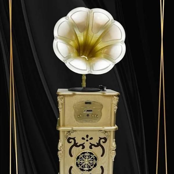 گرامافون 12کاره|صنایع دستی و سایر لوازم تزئینی|مشهد, هنرور|دیوار