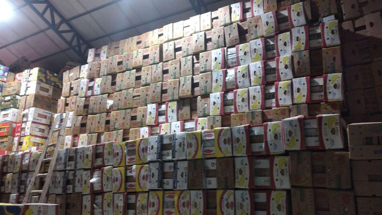 کارتن موز کارتن موزی چسب حباب دار فوم|عمده‌فروشی|مشهد, سید رضی|دیوار