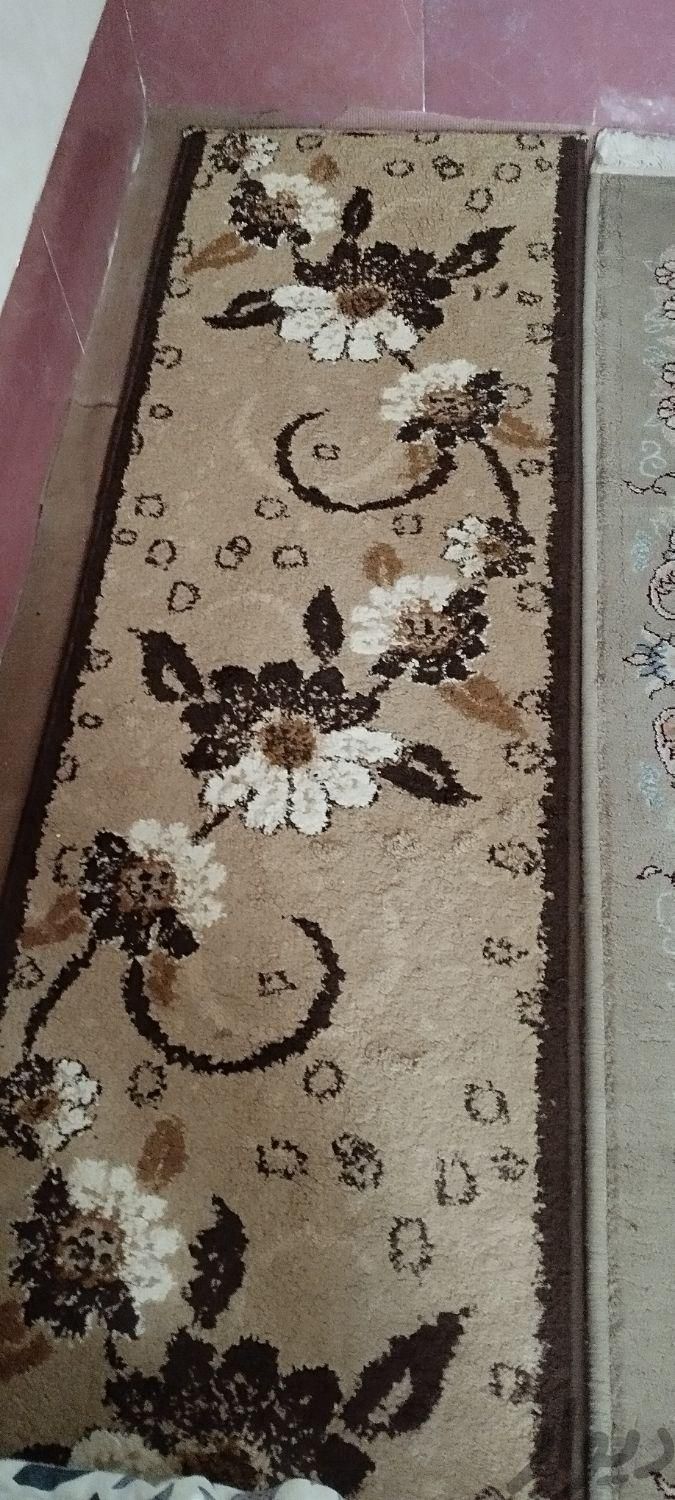 تعدادی گلیم فرش پادری کناره سالم|پادری|کرمانشاه, |دیوار