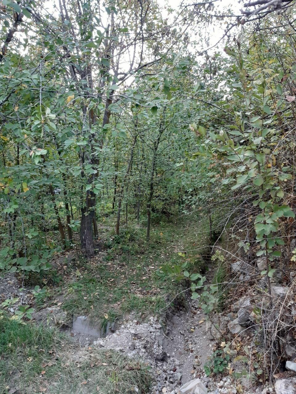 زمین سند دار در جاده چالوس|فروش زمین و ملک کلنگی|آسارا, |دیوار