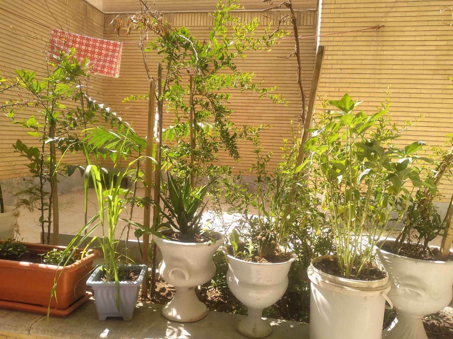 هتل .منزل مبله،سوئیت اجاره با امنیت بالا چهارباغ|اجارهٔ کوتاه‌مدت آپارتمان و سوئیت|اصفهان, شهشهان|دیوار