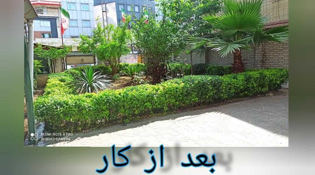 علف زدن زمین با دستگاه|خدمات باغبانی و درختکاری|رشت, دیانتی|دیوار