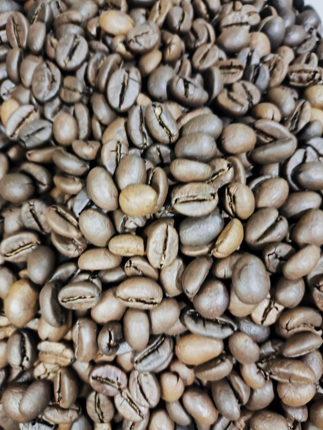رست وفراوری قهوه سبز باسنپل خاص فروشگاه شما(اجرتی)|خوردنی و آشامیدنی|اصفهان, جوزدان الیادران|دیوار