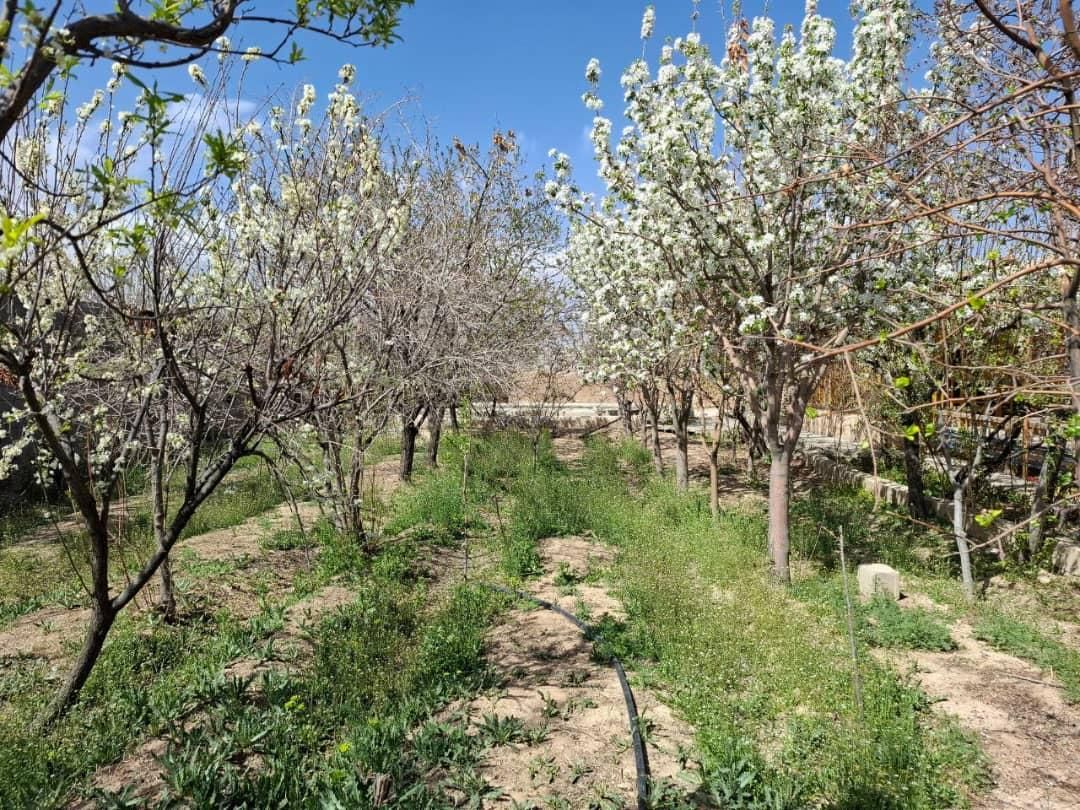 باغ کنتورآب/برق/ساختمان کهریزسنگ کرسنگ گل مینا|فروش خانه و ویلا|اصفهان, بوستان آینه خانه|دیوار