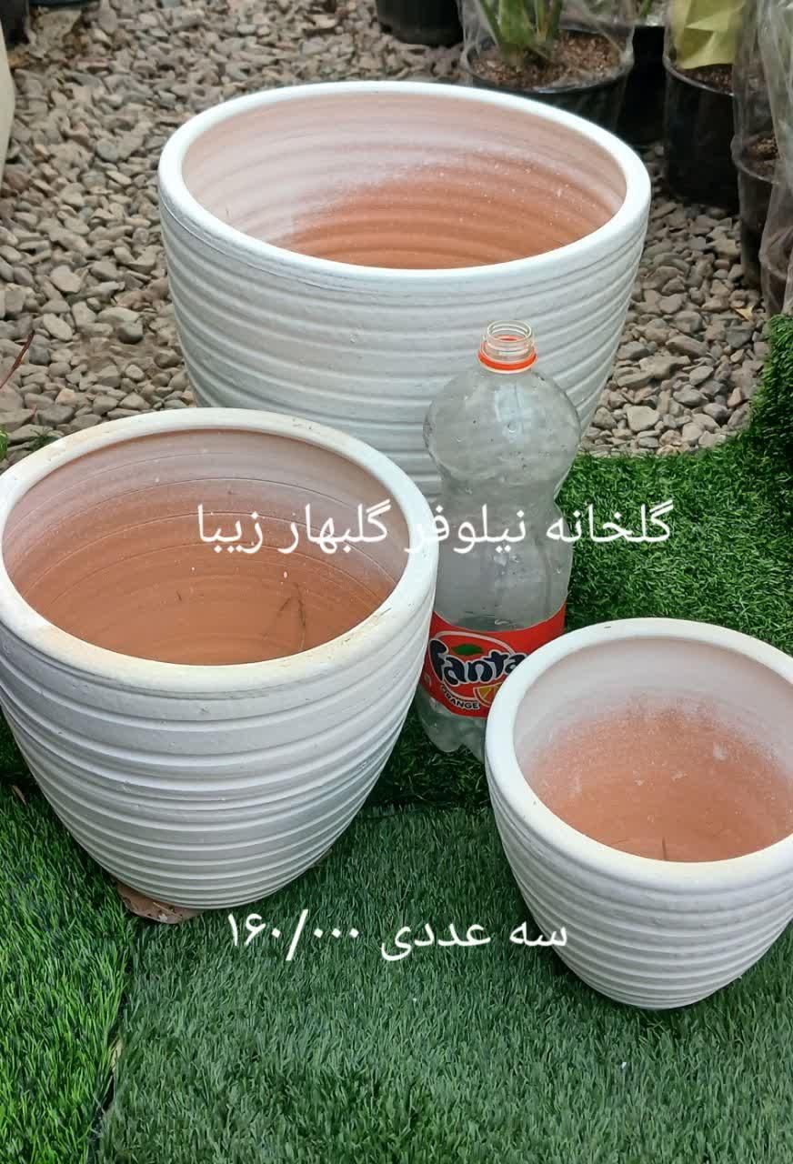 گل، گلدان، خاک، کود، بذر|عمده‌فروشی|گلبهار, |دیوار