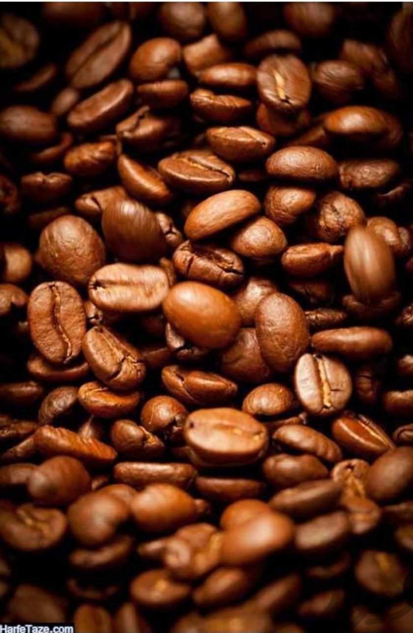 دان قهوه اندونزی کلمبیا برزیل|عمده‌فروشی|قم, عمار یاسر|دیوار
