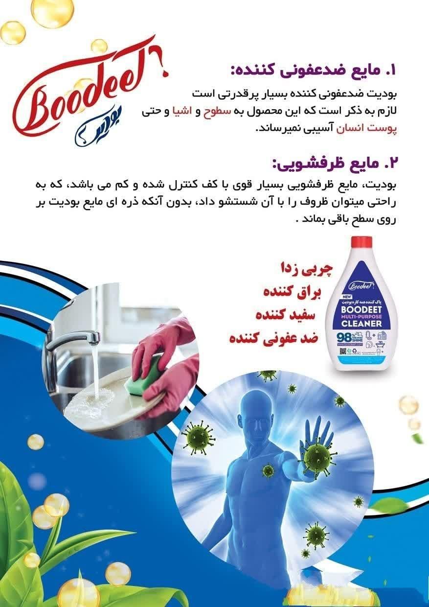 محصول شوینده ی چند کاره ی بودیت|مواد شوینده و دستمال کاغذی|سبزوار, توحیدشهر|دیوار