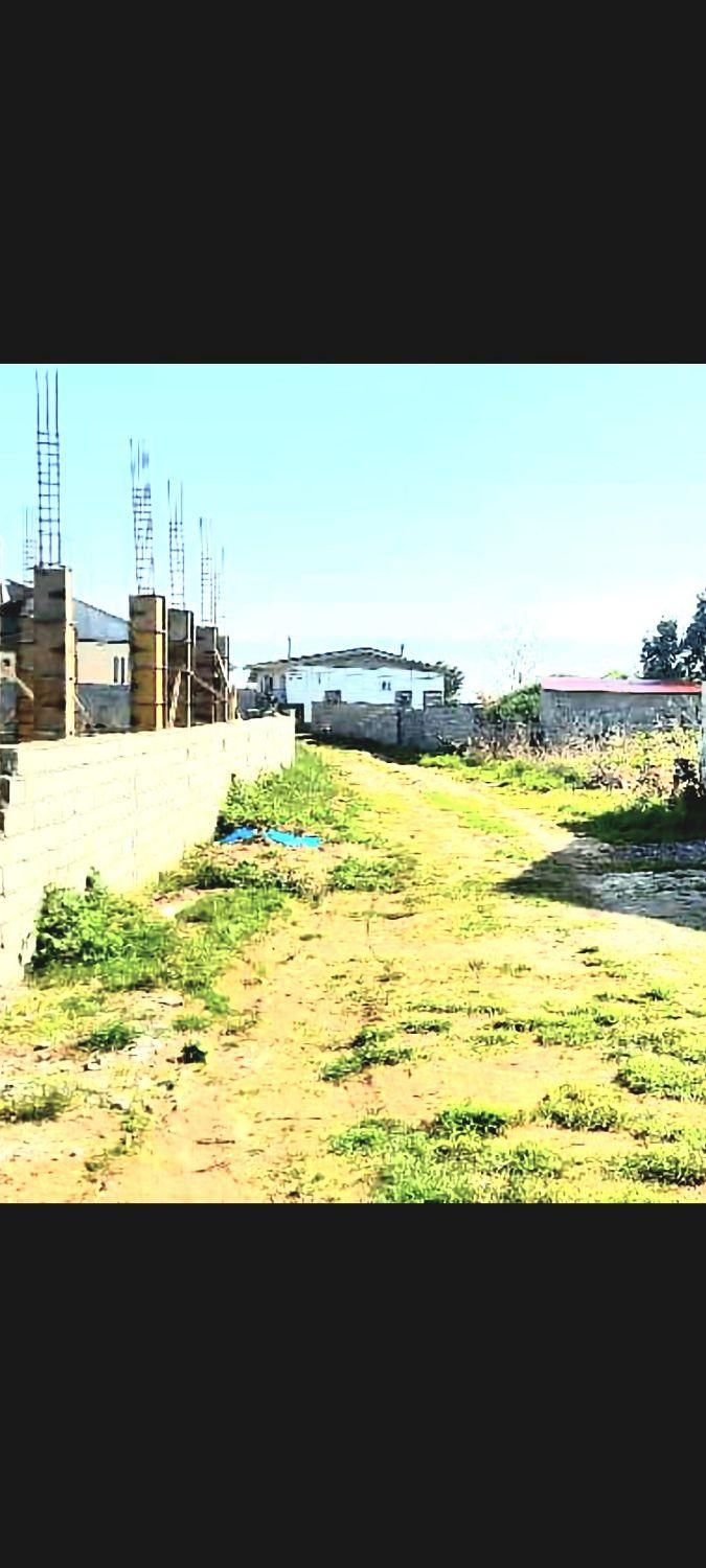 ۳۰۳متر باپروانه ساخت املاک عمارت چاف وچمخاله|فروش زمین و ملک کلنگی|چاف و چمخاله, |دیوار