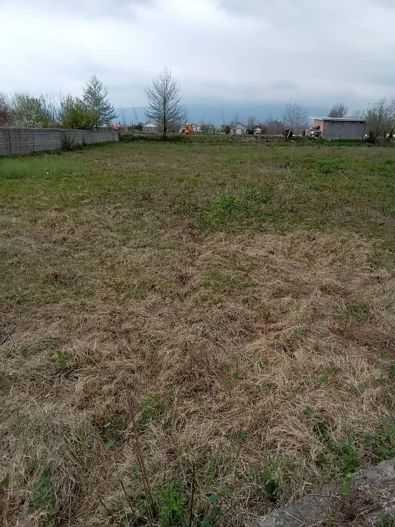 زمین ۱۰۰۰ متر۲۵۰ متر مسکونی سنگردهبنه کد(۳۵۴۳)|فروش زمین و ملک کلنگی|سنگر, |دیوار