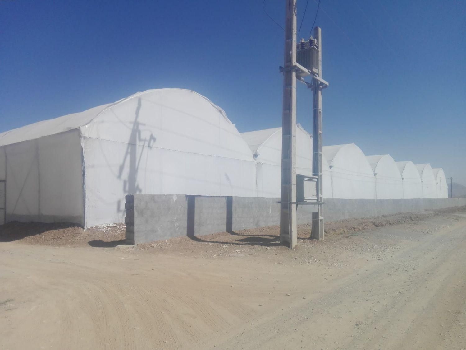 فروش گلخانه  ۳۰۰۰ متری|فروش دفتر صنعتی، کشاورزی، تجاری|شهرکرد, |دیوار