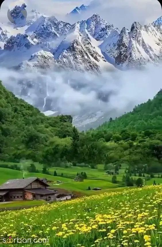 دنبال همسفر برای مسافرت آخر هفته|فعالیت داوطلبانه|تهران, جنت‌آباد جنوبی|دیوار