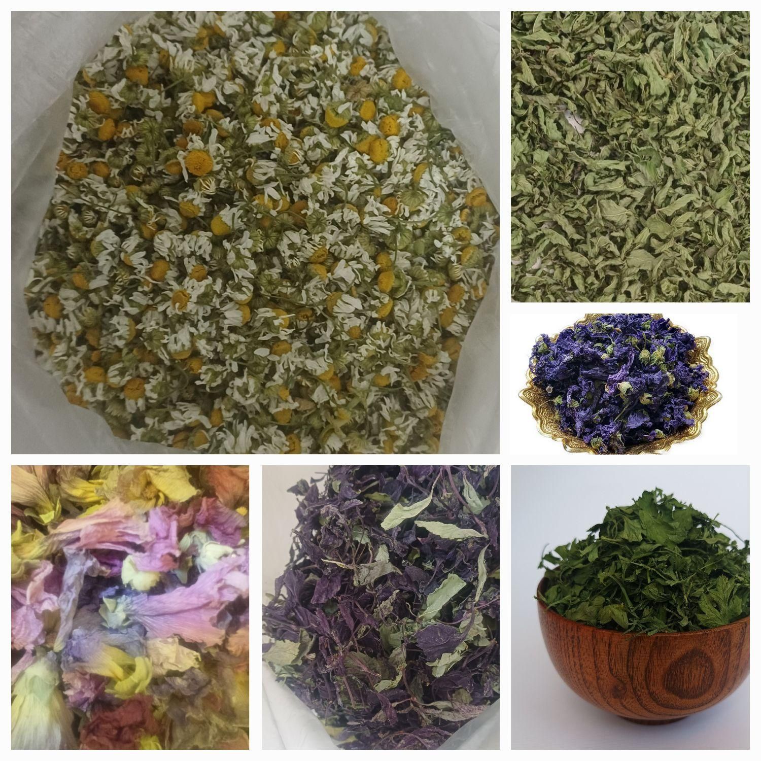 فروش بابونه تلخون سبزی رازیانه جعفری ریحان|خوردنی و آشامیدنی|اصفهان, خوراسگان|دیوار