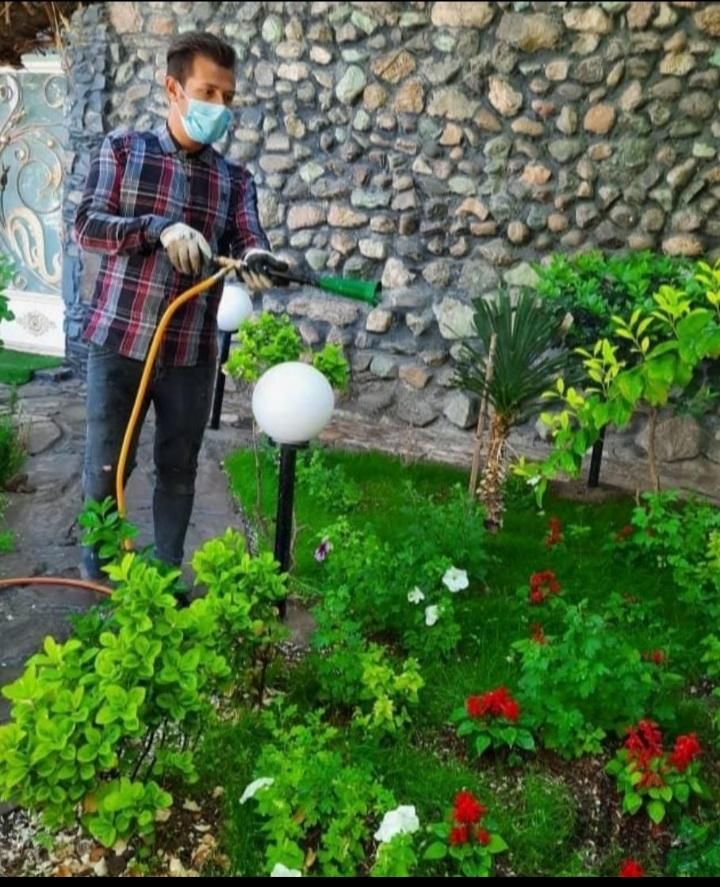 خدمات باغبانی هرس سم پاشی گلکاری تعویض خاک گلدان|خدمات باغبانی و درختکاری|تهران, کامرانیه|دیوار