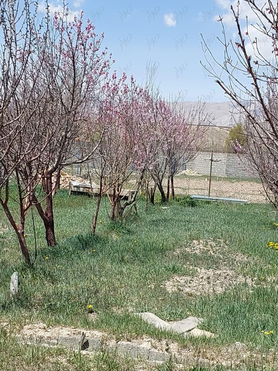باغچه زمین ۳۴۵مترسندتکبرگ مشادر فیروزکوه دشت کلفور|فروش زمین و کلنگی|فیروزکوه, |دیوار