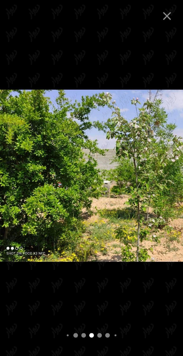 باغ هزار متری ثمری در چهل چشمه|فروش خانه و ویلا|شیراز, مهدیه|دیوار