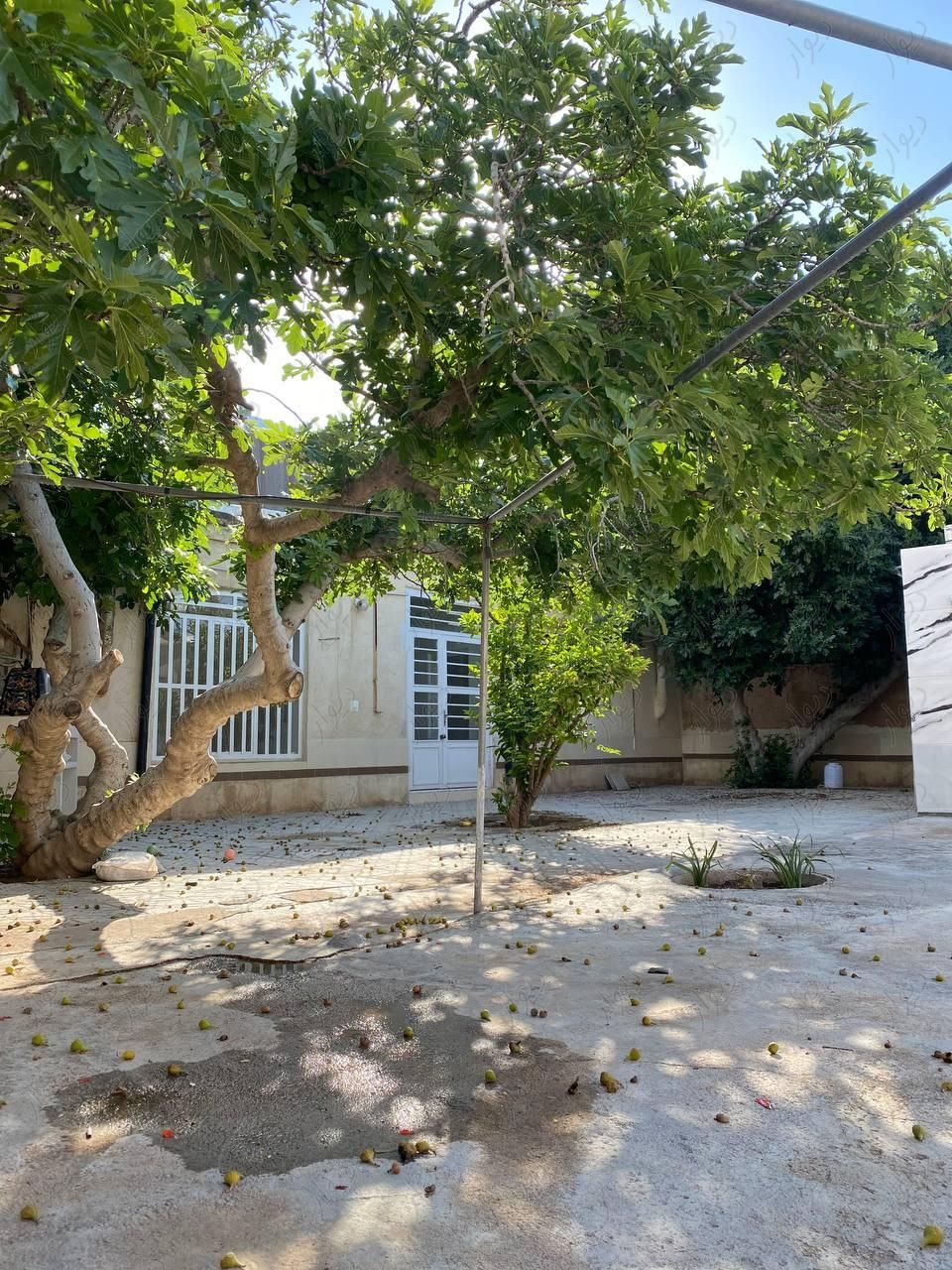 اجاره منزل ویلایی ۳۰۰ متری دربست|اجارهٔ خانه و ویلا|شیراز, احمدآباد|دیوار