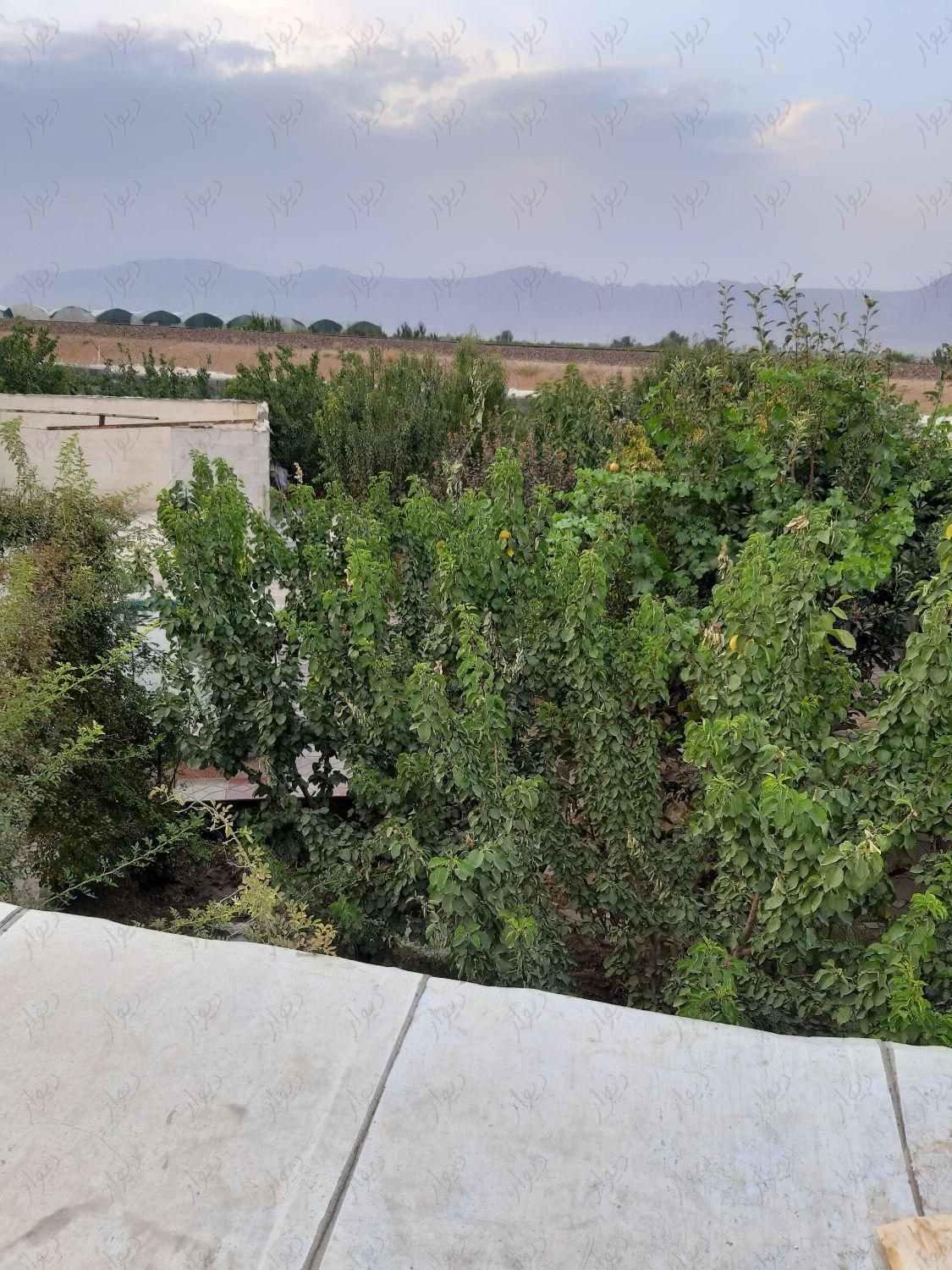 باغ ۱۲۰۰متری با کف سازی شده|فروش خانه و ویلا|اصفهان, مبارکه|دیوار