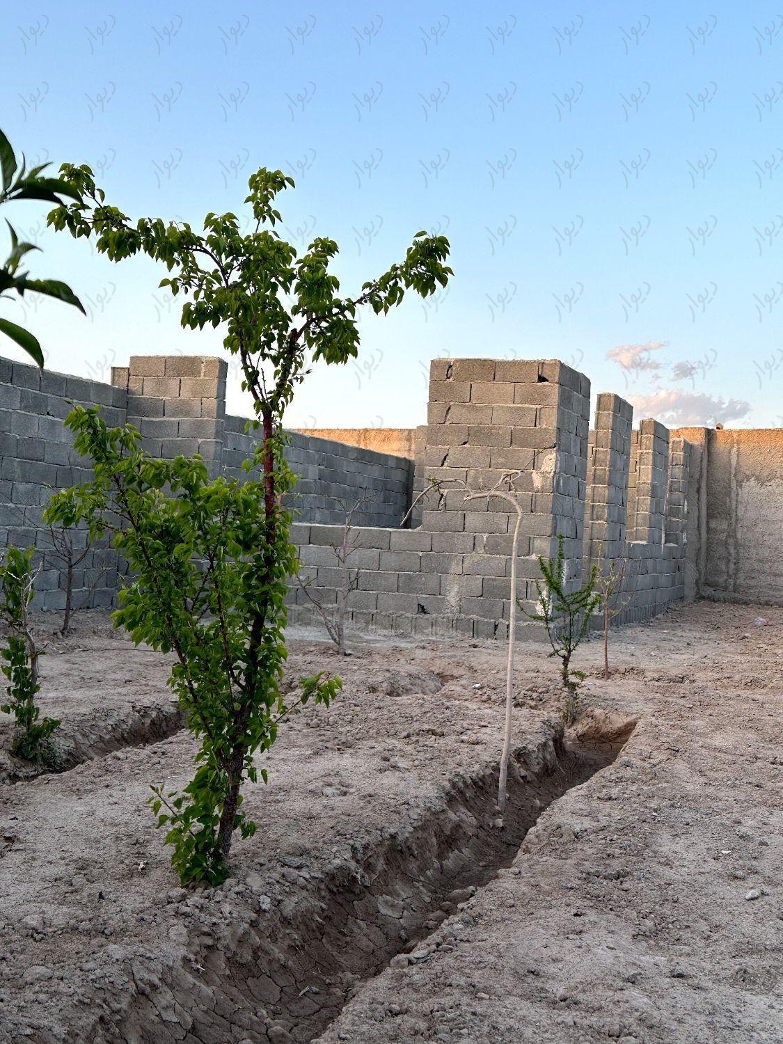 باغچه با آب و برق|فروش زمین و کلنگی|تهران, یافت‌آباد|دیوار