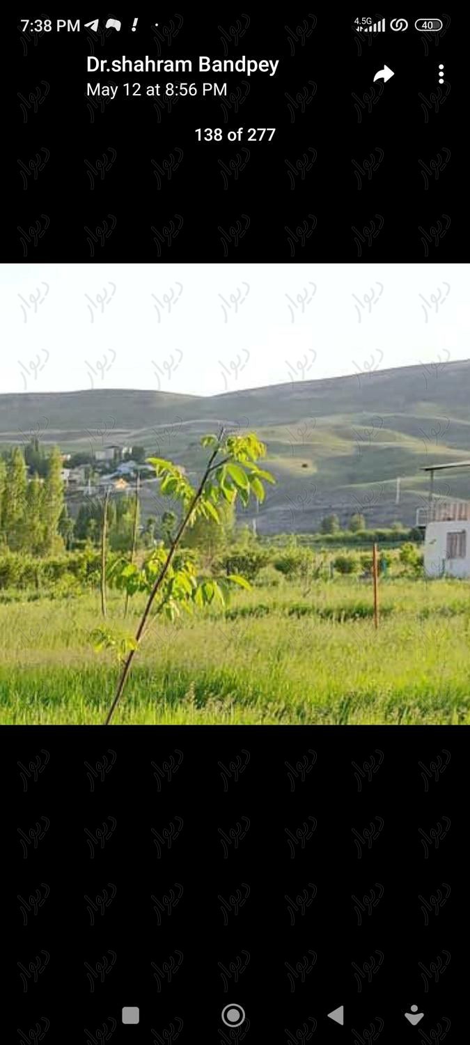 فروش باغ ۳ ساله با سند شش دانگ در فیروزکوه|فروش زمین و کلنگی|فیروزکوه, |دیوار