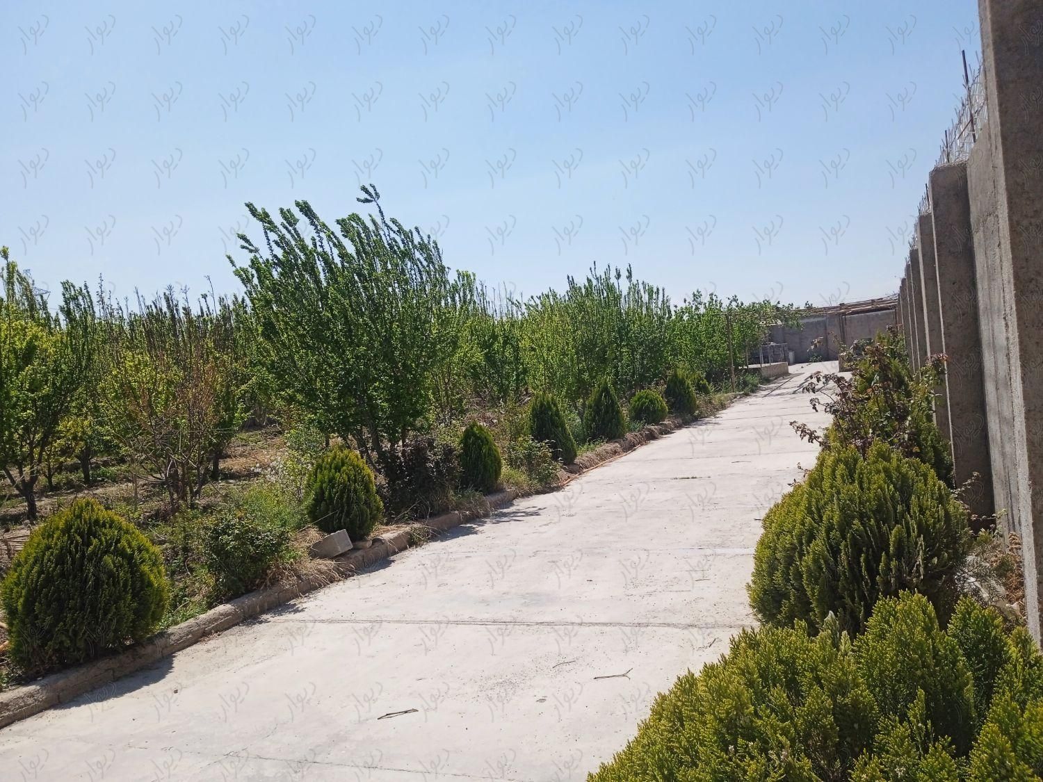باغچه ۳۰۰ متری ده در ۳۰ نزدیک بافت شهری|فروش خانه و ویلا|صباشهر, |دیوار