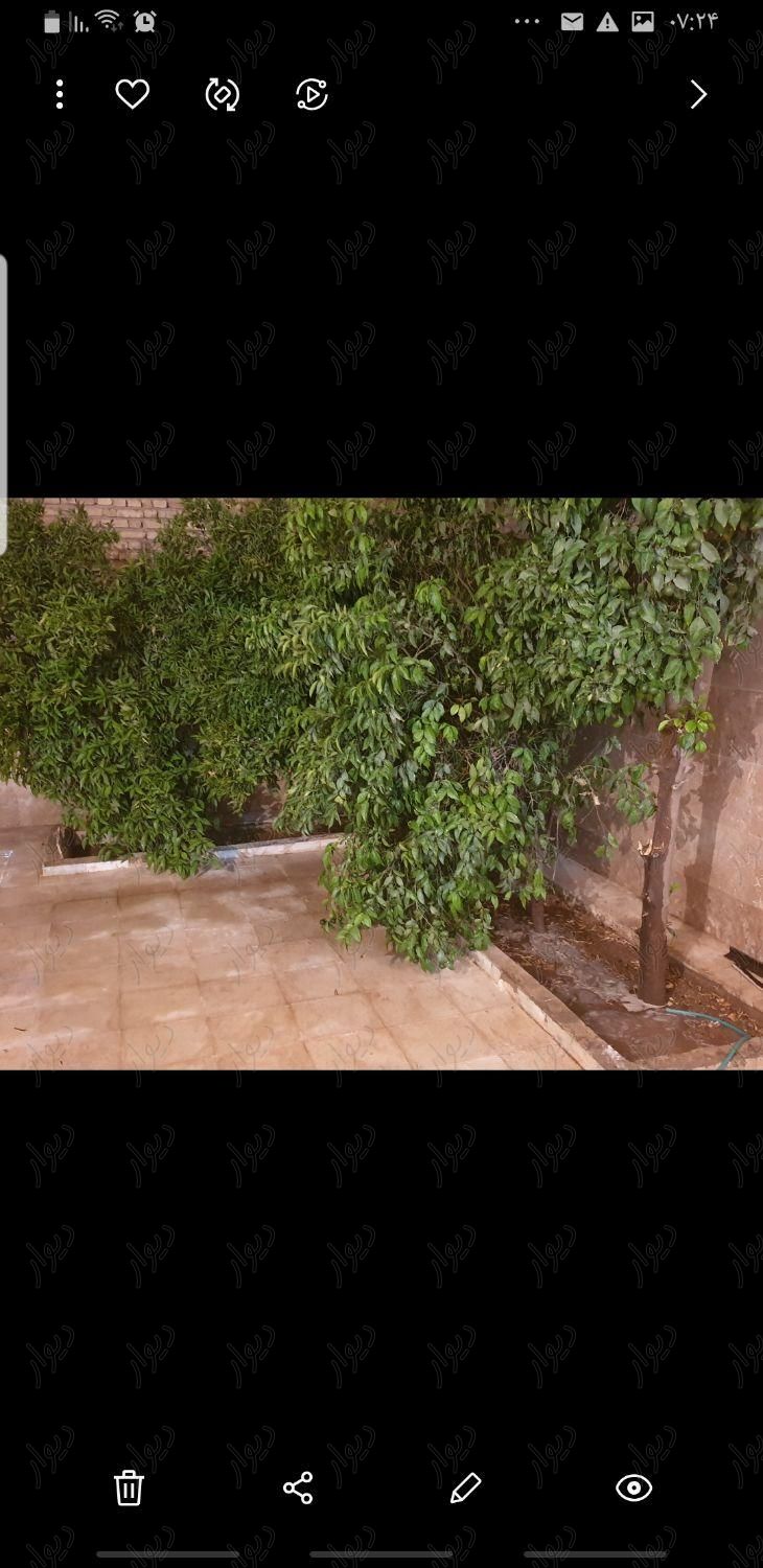 خانه ویلایی با حیاط دلباز|فروش خانه و ویلا|شیراز, شهرک شهید مطهری|دیوار