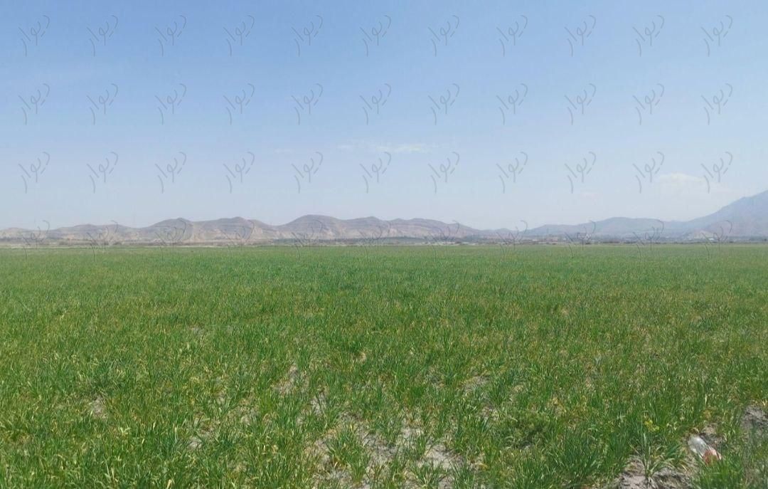 3هکتار و نیم زمین کشاورزی|فروش زمین و کلنگی|شیراز, آرامستان دارالرحمه|دیوار