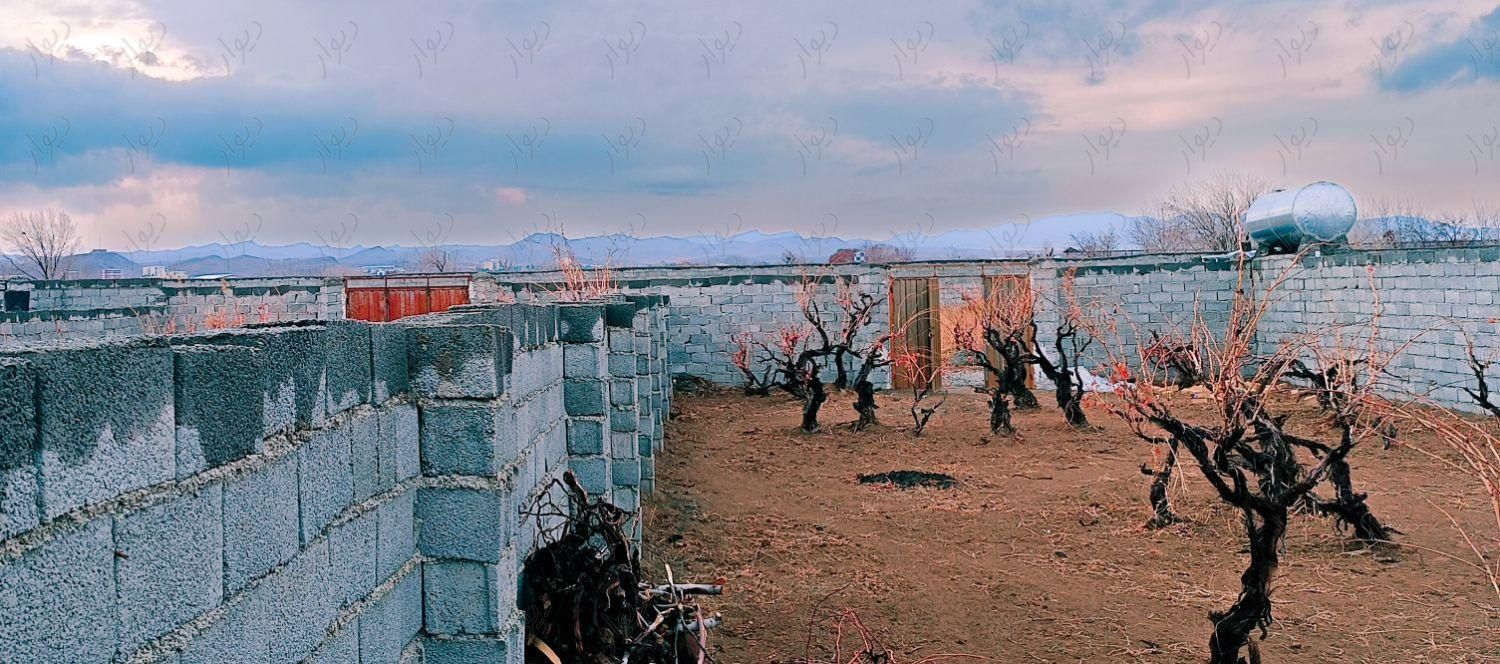 باغ انگوری با زمین ۳۰۰ متری قدیمی آب موتور دار سند|فروش زمین و کلنگی|تهران, یاخچی‌آباد|دیوار