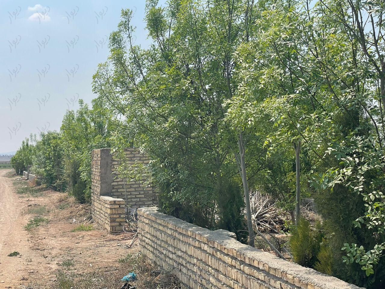 زمین ۳۴۴ متری باغچه|فروش زمین و کلنگی|تهران, ظهیرآباد|دیوار