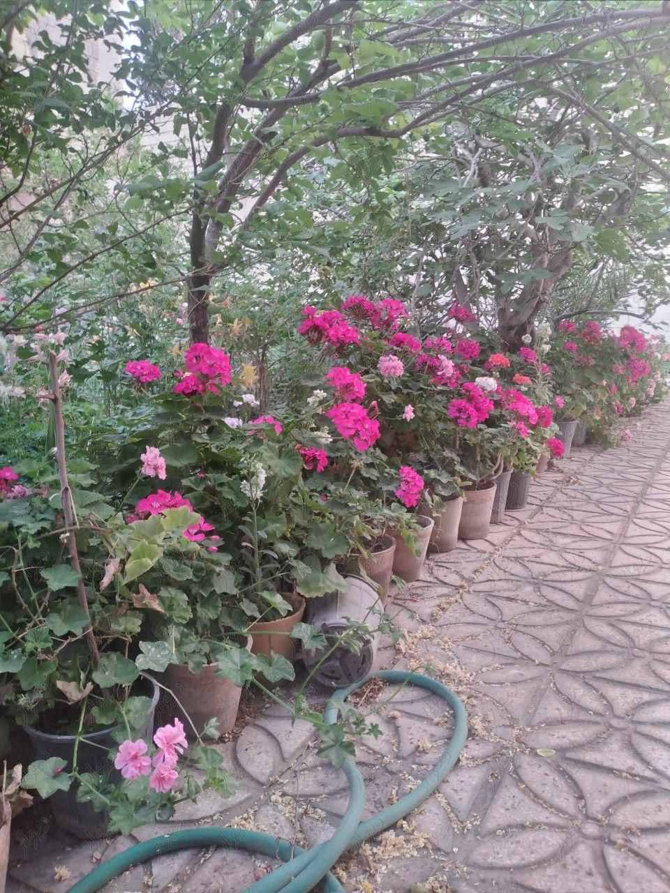ویلائی، دو خواب حیاط زیبا|اجارهٔ خانه و ویلا|اصفهان, کشاورزی|دیوار